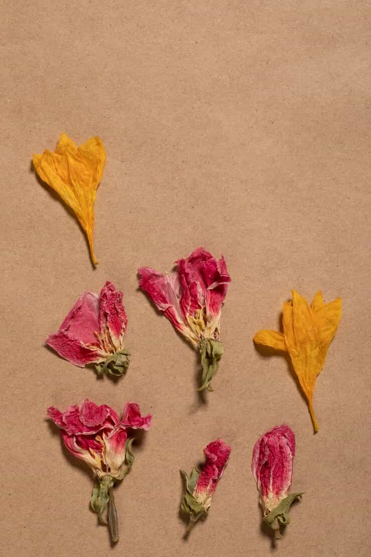 تصویر 1 از گل محمدی غنچه خشک ممتاز با عطر دل‌ انگیز و رنگ طبیعی